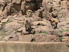 -谊品生鲜(华地润园店)