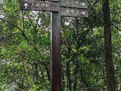 -武夷山风景名胜区-虎啸岩