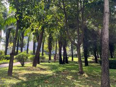 -深圳龙潭公园