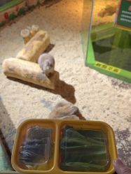 -未来动物城动物主题公园(大悦城店)