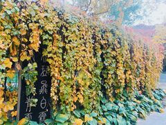 -碑林公园
