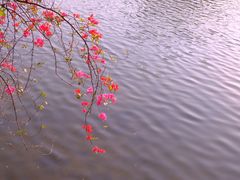 -东山湖公园