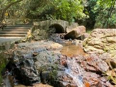 -东莞市大岭山森林公园