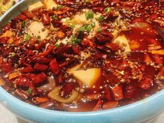 川府毛血旺-船家渔(徐州北路店)