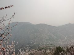 -北京鹫峰国家森林公园