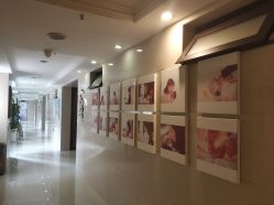 -大美母婴月子中心(馨乐庭店)