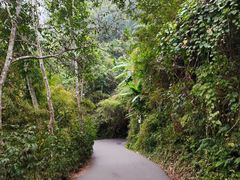 景点-野象谷景区
