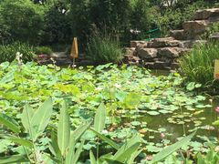 -新湖明珠城