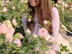 -人民公园(罗湖区)