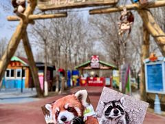 -水上乐园·欢乐世界