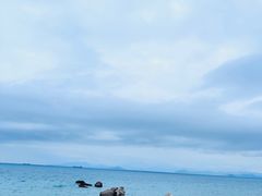 -玫瑰海岸文化旅游度假区