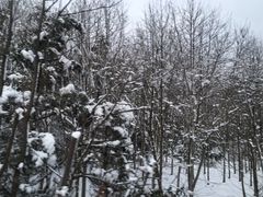 -钟山体育运动公园