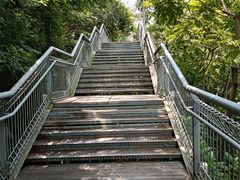 -佛山华盖山公园