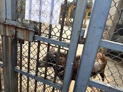 -苏州上方山国家森林公园
