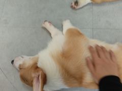 -汪说·狗咖(旺城大厦店)