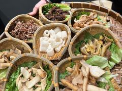 -滇野云南野生菌餐厅(陕西南路店)