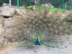 -静之湖湖畔餐厅