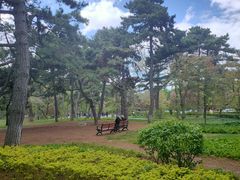 -长春市南湖公园