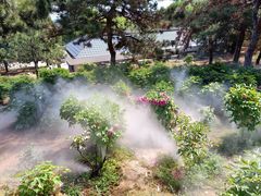 -北京西山国家森林公园