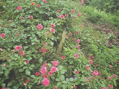 -燕西婚纱摄影工作室(友盛上都写字楼店)