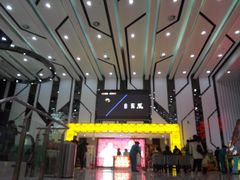 -耀莱成龙影城(领秀城店)