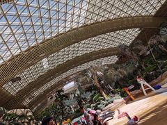 -杭州开元森泊度假乐园