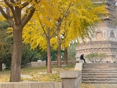 -玲珑塔公园
