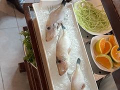 -皇城老妈火锅(琴台店)