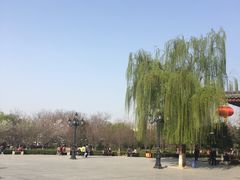 -西安青龙寺遗址景区