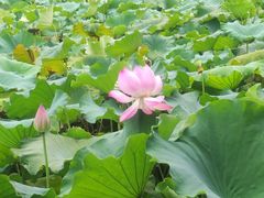 -千龙湖生态旅游度假区