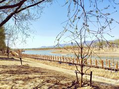 -野鸭湖国家湿地公园