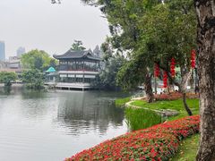 -荔湾湖公园