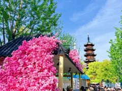 -龙华寺