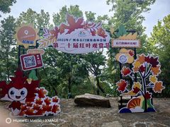 -广州市石门国家森林公园