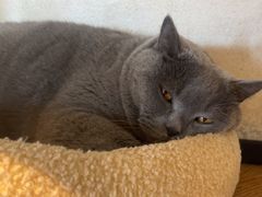 -Me Coffee下午茶艺术空间