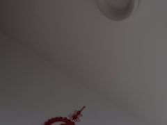 -沈阳道古物市场