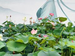 -无锡蠡湖国家湿地公园-蠡园