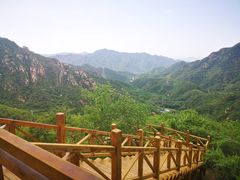 -大岭沟猕猴桃谷风景区