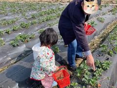 -尚果生态采摘园