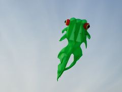 -丁香湖丁香小镇Citypark滑雪公园戏雪嘉年华