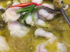 -丰收日(五角场店)