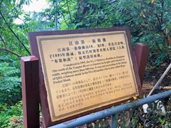 -紫金山索道-售票处