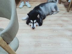 -白兔子密室(长寿路店)