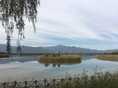 -野鸭湖国家湿地公园