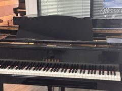 -梅纳·钢琴声乐架子鼓Mena Music(双井店)