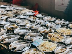 -大湾区中央湿地公园-十九涌