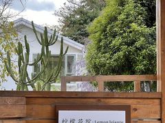 -柠檬花院烤肉·会议团建·聚会·求婚(三圣乡店)