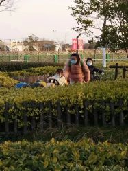 -季高兔窝窝亲子园(上海薰衣草公园店)