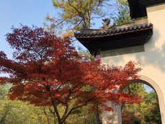 -灵顺寺
