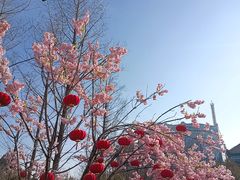 -郑州方特梦幻王国